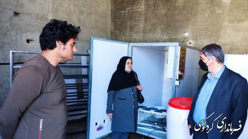  فرماندار کردکوی از یک واحد تولیدی پرورش کپک و قرقاول در روستای سالیکنده بازدید کرد.