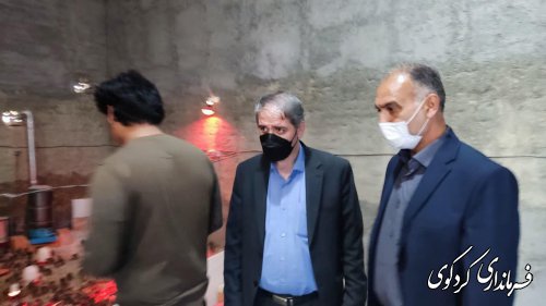  فرماندار کردکوی از یک واحد تولیدی پرورش کپک و قرقاول در روستای سالیکنده بازدید کرد.