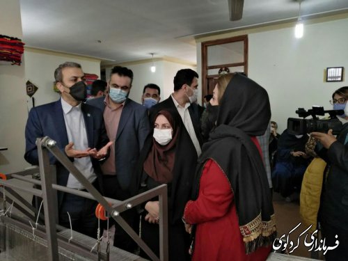 بهره برداری از خانه صنایع دستی نساجی و چادرشب بافی شهرستان با اعتبار 3 میلیارد تومان اغاز شد