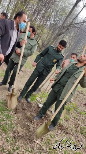 بیش از ۳۶ هزار نهال در بین شهروندان علاقمند کاشت درخت توزیع می گردد.