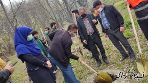 بیش از ۳۶ هزار نهال در بین شهروندان علاقمند کاشت درخت توزیع می گردد.