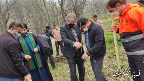 بیش از ۳۶ هزار نهال در بین شهروندان علاقمند کاشت درخت توزیع می گردد.