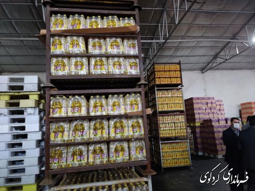 دکتر علی محمد زنگانه استاندار گلستان از کارخانه تولیدی عالیای گلستان ( رعنا ) بازدید کرد
