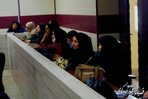 نشست مدیر کل امور بانوان و خانواده استانداری با زنان فرهیخته و توانمند شهرستان برگزار شد.