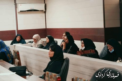 نشست مدیر کل امور بانوان و خانواده استانداری با زنان فرهیخته و توانمند شهرستان برگزار شد.