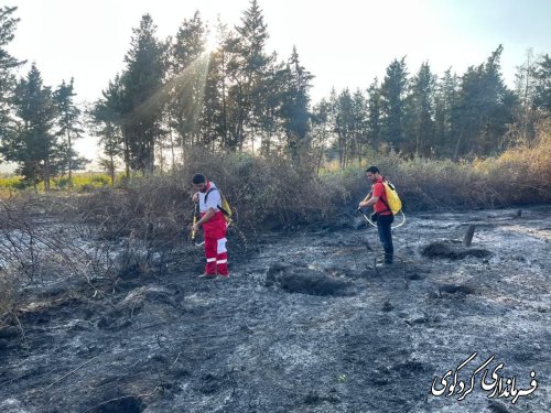 با بی احتیاطی انسانی بیش از دو هکتار از جنگلها سوزنی برگ کردکوی در آتش سوخت.
