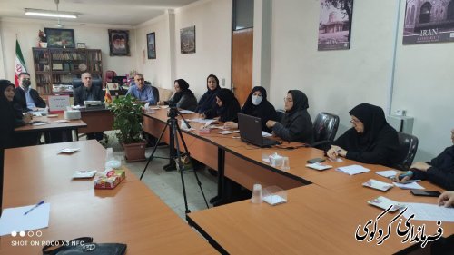 نشست شورای اندیشه ورز بانوان و جمعیت با فرماندار کردکوی