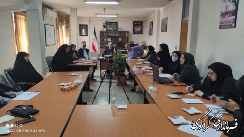 نشست شورای اندیشه ورز بانوان و جمعیت با فرماندار کردکوی