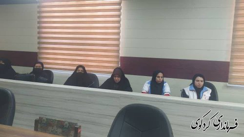 برگزاری همایش آموزشی با موضوع خانواده مطلوب و سواد رسانه در کردکوی