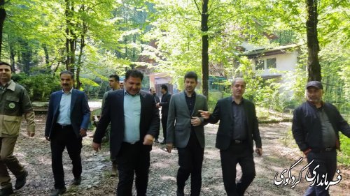 اقدامات ستاد خدمات سفر کردکوی  قابل قبول  است.