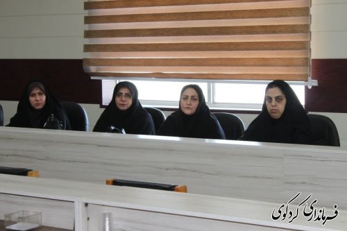  نخستین  نشست کارشناسان و مشاوران بانوان شهرستان برگزار شد