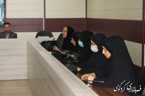  نخستین  نشست کارشناسان و مشاوران بانوان شهرستان برگزار شد