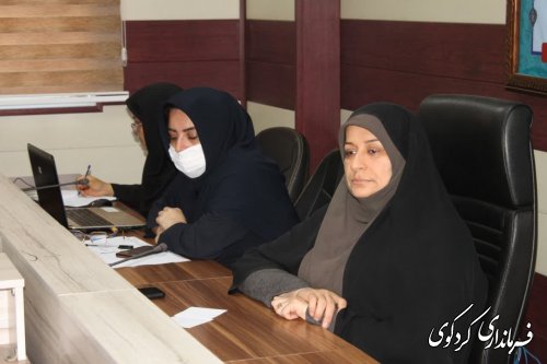  نخستین  نشست کارشناسان و مشاوران بانوان شهرستان برگزار شد