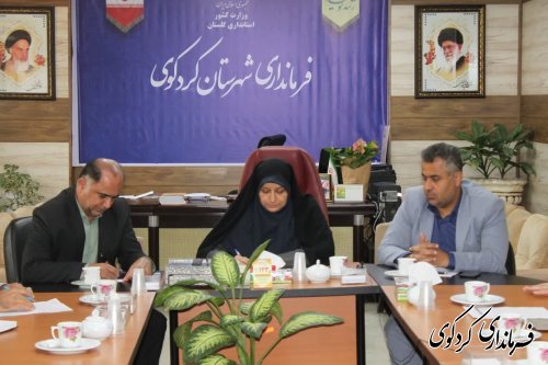 نشست پیگیری  بند ۶۱ مصوبه شورای اداری مشترک استان و شهرستان برگزار شد