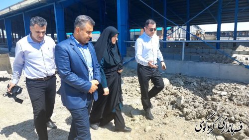 ساخت بزرگترین دامپروری گاو استان با اعتبار بیش از ۱۰۰۰ میلیارد تومان 