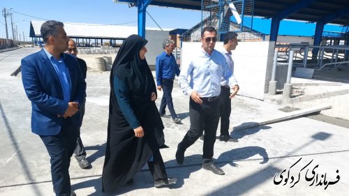 ساخت بزرگترین دامپروری گاو استان با اعتبار بیش از ۱۰۰۰ میلیارد تومان 