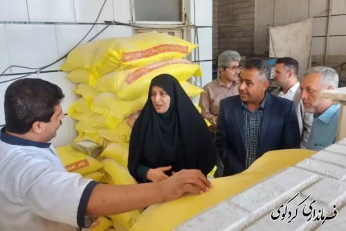 بازدید فرشته ترک فرماندار کردکوی از نانوایی های سطح شهرستان