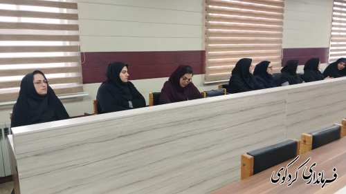 نشست تبیین نقش ارزنده بانوان در مشارکت حد اکثری در انتخابات برگزار شد 