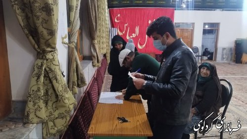 گزارش تصویری // بازدید کیا بخشدار مرکزی از شعب اخذ رای روستایی
