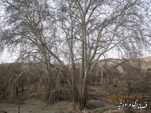 بازدید فرماندار از روستای یکه توت بالا