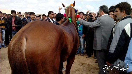 برگزاری مسابقات اسب دوانی در شهرستان مراوه تپه