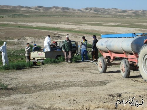 بازدید فرماندار از اجرای طرح مبارزه با ملخ مراکشی