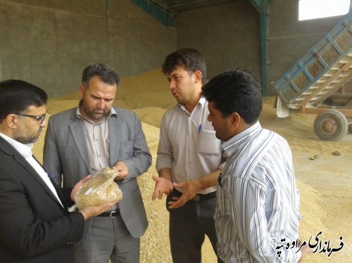 بازدید سرزده فرماندار از مراکز خرید گندم شهرستان مراوه تپه