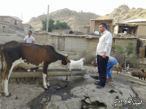 بازدید فرماندار از روستاهای مرزی 