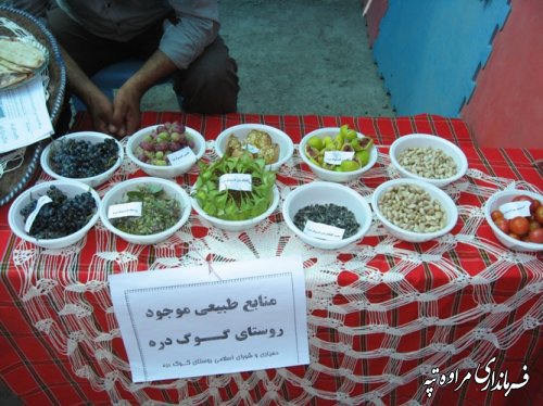 برگزاری جشنواره پسته ارگانیک در شهرستان مراوه تپه