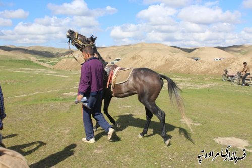 برگزاری یک دوره مسابقات اسبدوانی به مناسبت روز جمهوری اسلامی در شهرستان مراوه تپه 