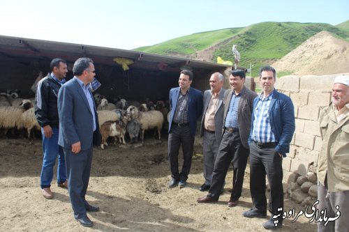 بازدید فرماندار مراوه تپه از روستای قرناق بخش گلیداغ 