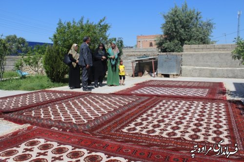 حضور مدیر کل امور بانوان و خانواده استان گلستان در شهرستان مراوه تپه 