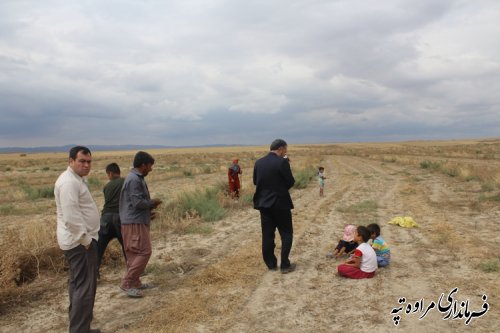 بازدید فرماندار مراوه تپه از پروژه درختان مثمر روستای دیکلی داش 