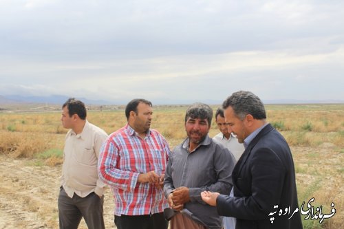 بازدید فرماندار مراوه تپه از پروژه درختان مثمر روستای دیکلی داش 