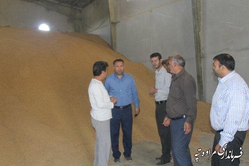 بازدید فرماندار شهرستان مراوه تپه از مراکز خرید گندم