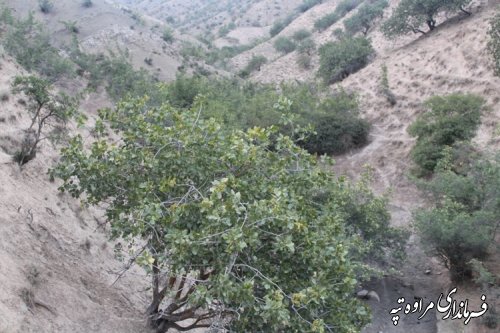 بازدید فرماندار مراوه تپه از روستای گوگدره بخش مرکزی 