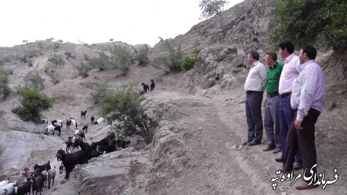 بازدید فرماندار مراوه تپه از روستای گوگدره بخش مرکزی 