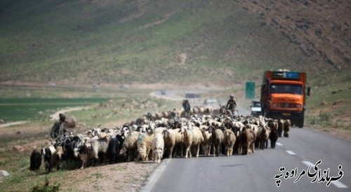 فرماندار مراوه تپه : کلیه دستگاه ها در جهت سهولت کوچ عشایر همکاری کنند .