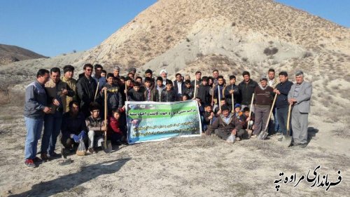 برگزاری مراسم سنتی یوار جهت کاشت بذر و احیای پسته قازانقایه