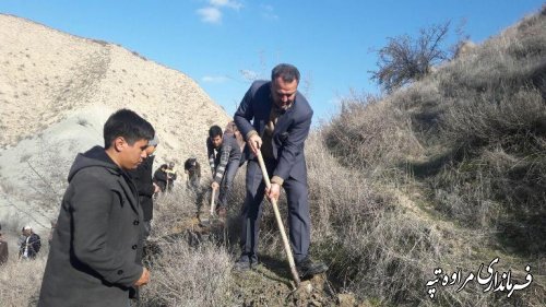 برگزاری مراسم سنتی یوار جهت کاشت بذر و احیای پسته قازانقایه