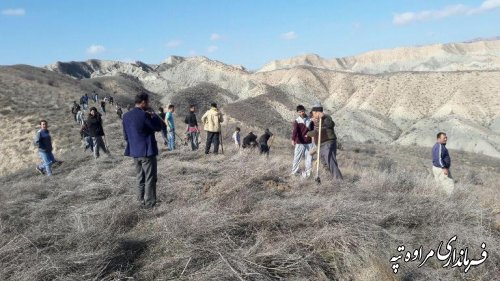 برگزاری مراسم سنتی یوار جهت کاشت بذر و احیای پسته قازانقایه