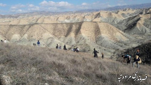 برگزاری مراسم سنتی یوار جهت کاشت بذر و احیای پسته قازانقایه