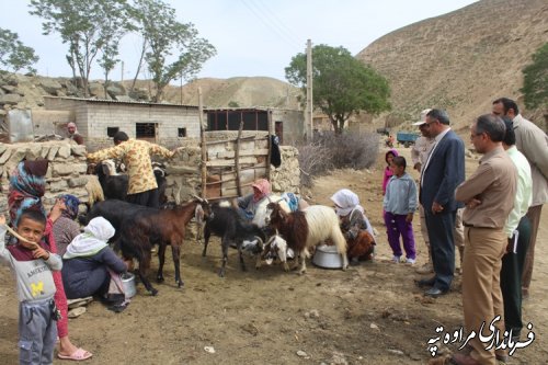 بازدید اعضای تأمین شهرستان مراوه تپه از روستای مرزی دادلی غزنین 