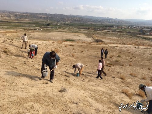 فرماندار مراوه تپه از نحوه اجرای مرحله دوم جونده کشی در راستای پیشگیری از بیماری سالک بازدید کرد.