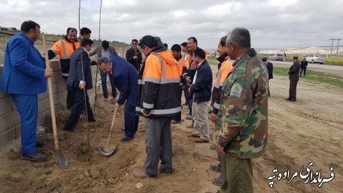 جلسه توسعه فضای سبز شهرستان مراوه تپه در محل فرمانداری برگزار شد. 