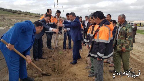 جلسه توسعه فضای سبز شهرستان مراوه تپه در محل فرمانداری برگزار شد. 