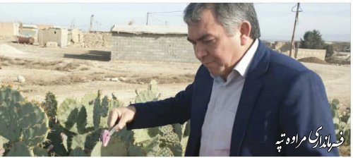 گامهای بانوان شهرستان مراوه تپه ای برای کارآفرینی و تولید.