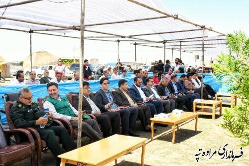 جشنواره ملی زیبایی اسب اصیل ترکمن برگزار شد
