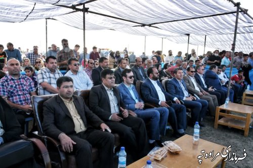 جشنواره ملی زیبایی اسب اصیل ترکمن برگزار شد
