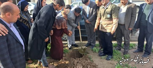 کاشت نهال توسط فرماندار و مدیران شهرستان به پاس گرامیداشت شهدای این شهرستان